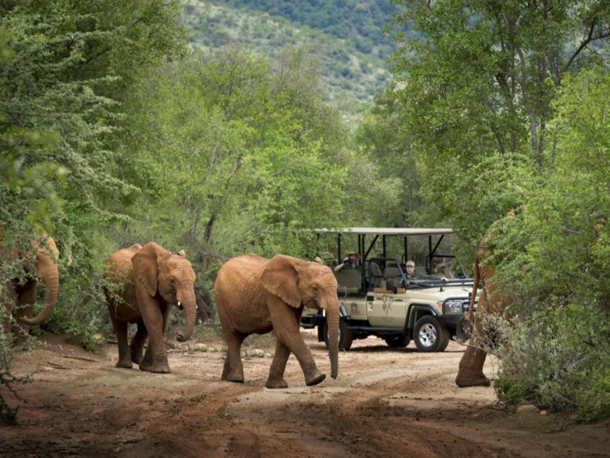 Mbazo Safari Collection Villa Pilanesberg Eksteriør bilde